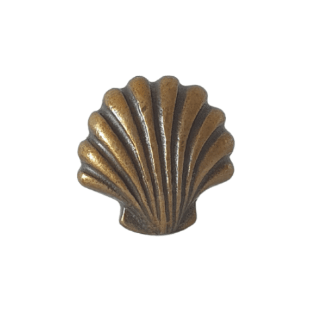 Solid Brass knob shell fan shaped nob