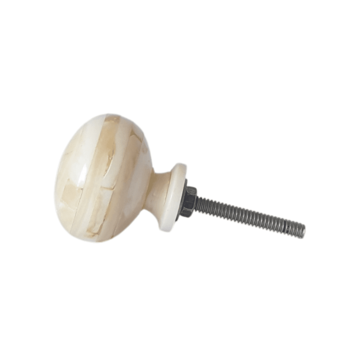 Bone Decorative Knob
