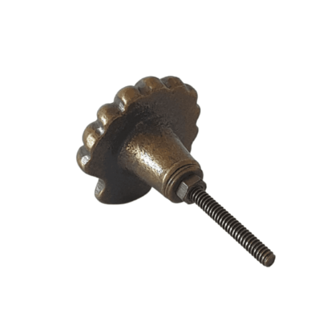 Solid Brass knob shell fan shaped nob